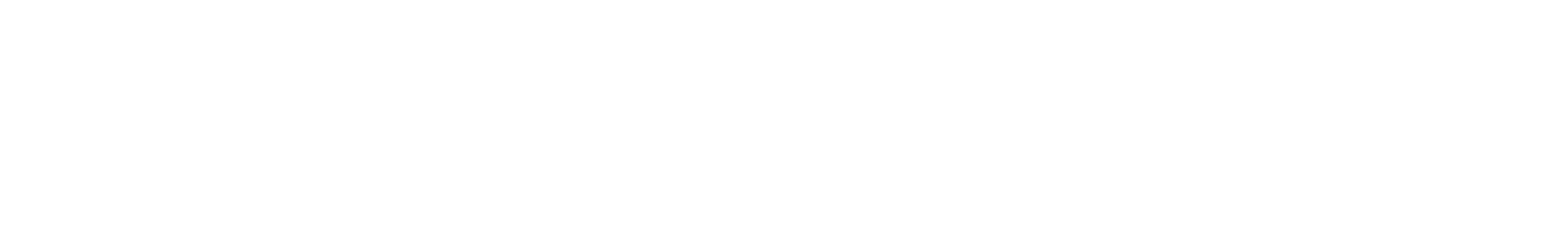 Ana Castro — Método ELA